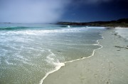 California Tide