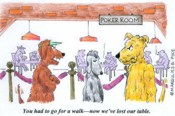 Click to Shop the No Dice on-line store