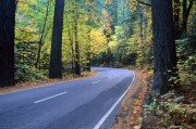 Road in Yosemite Park